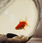 吉林省渭漪生物繁育中心