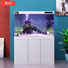 超白鱼缸水族箱客厅落地屏风大型家用小型免换水底滤金鱼缸送造景